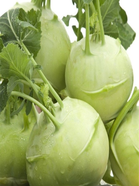 Beyaz Alabaş Fidesi