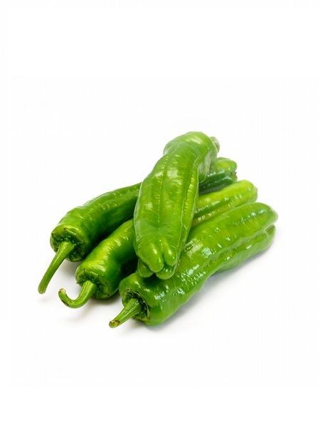 Üç Burun Biber Fidesi