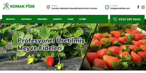 Web Sitemiz Yayında 